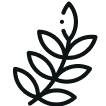 Greenify-Improving-Icon-1